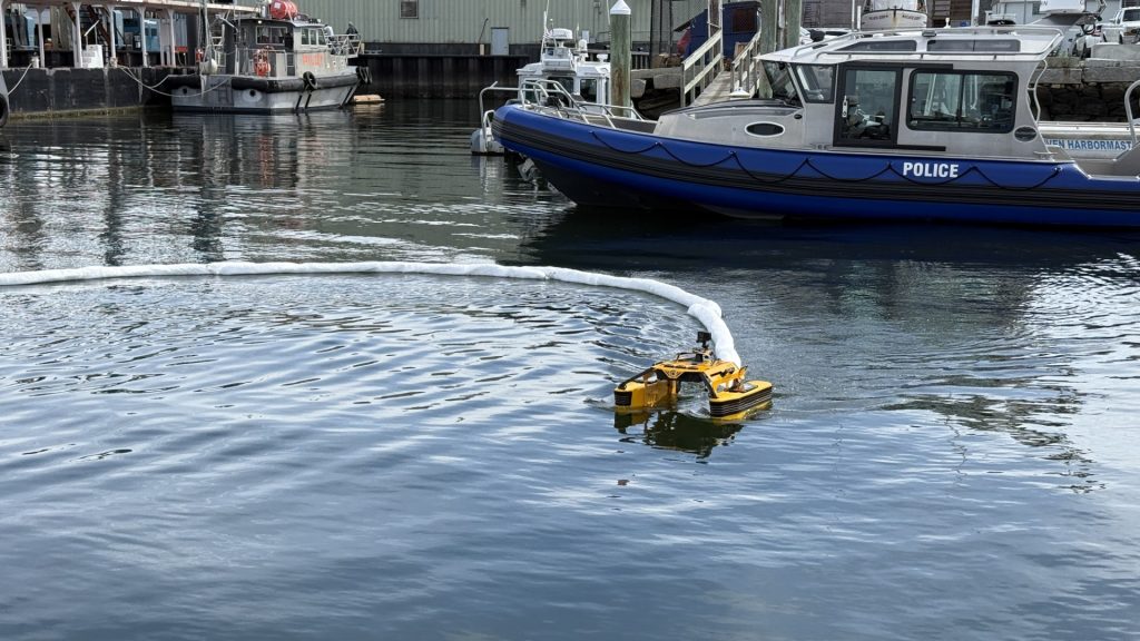 Fairhaven Jellyfishbot